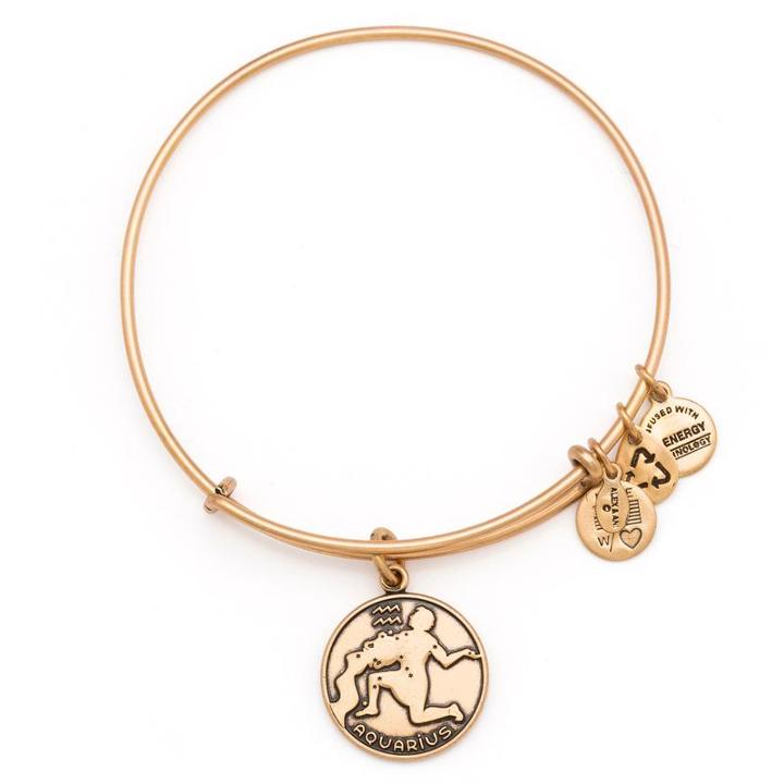 Alex And Ani Aquarius Charm Bangle