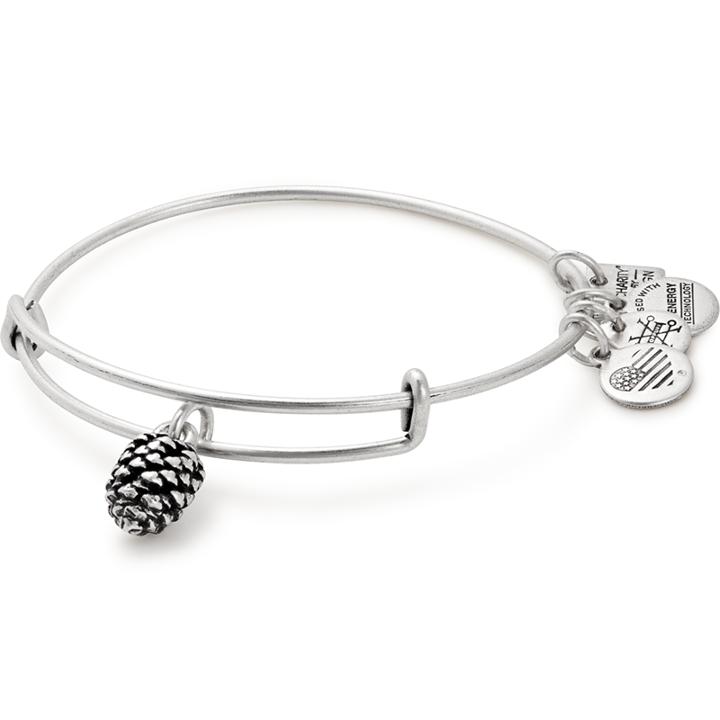 Alex And Ani Pinecone Charm Bangle Plan International, Rafaelian Silver Finish