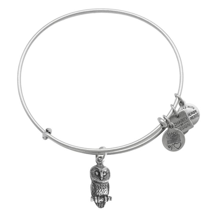 Alex And Ani Ode To The Owl Charm Bangle | Roger Williams Park Zoo, Rafaelian Silver Finish