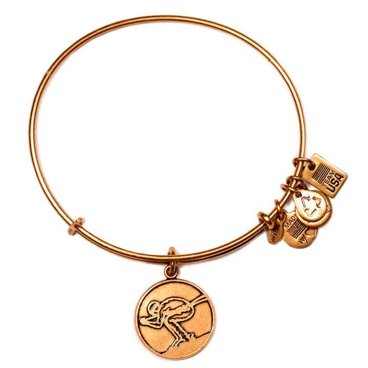 Alex And Ani Team Usa Skiing Charm Bangle, Rafaelian Gold Finish