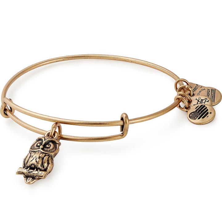 Alex And Ani Owl Charm Bangle Flying Kites, Rafaelian Gold Finish