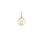 Alex And Ani Initial B Two Tone Necklace Charm