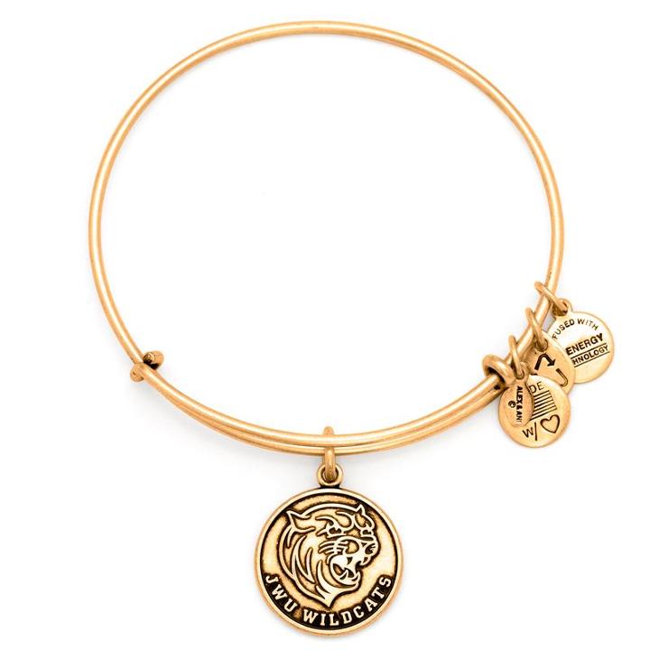 Alex And Ani Johnson & Wales University Mascot Charm Bangle