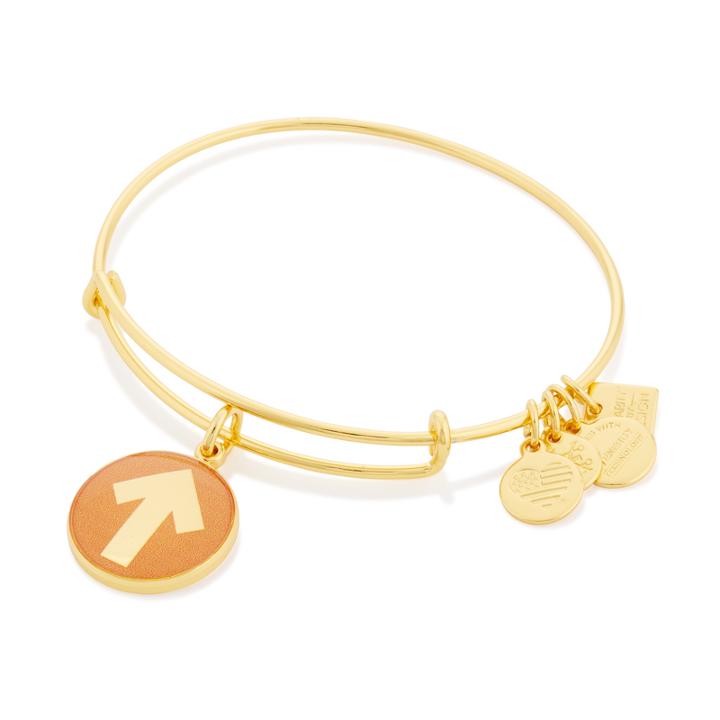 Alex And Ani Stand Up Charm Bangle | Stand Up To Cancer | Online Exclusive, Shiny Gold Finish