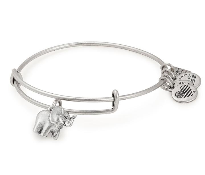 Alex And Ani Elephant Charm Bangle Friends Of Jaclyn Foundation, Rafaelian Silver Finish