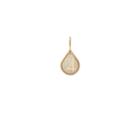 Alex And Ani Jupiter Necklace Charm