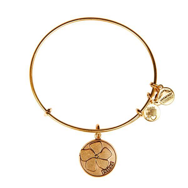 Alex And Ani Friend Charm Bangle