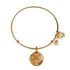 Alex And Ani Friend Charm Bangle