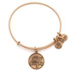 Alex And Ani Tampa Bay Buccaneers Charm Bangle, Rafaelian Gold Finish