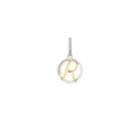 Alex And Ani Initial R Two Tone Necklace Charm