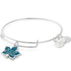 Alex And Ani Beleaf In Yourself Color Infusion Charm Bangle, Shiny Silver Finish