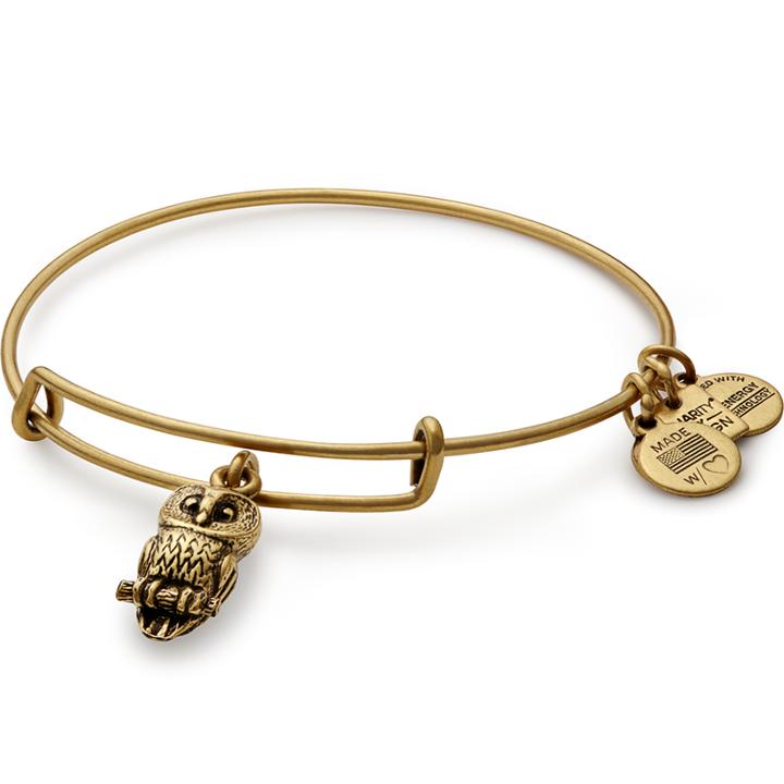 Alex And Ani Ode To The Owl Charm Bangle Roger Williams Park Zoo, Rafaelian Gold Finish