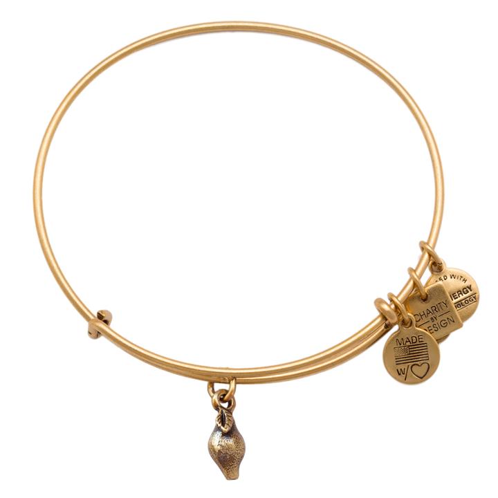 Alex And Ani Zest For Life Charm Bangle, Rafaelian Gold Finish