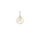 Alex And Ani Initial A Two Tone Necklace Charm