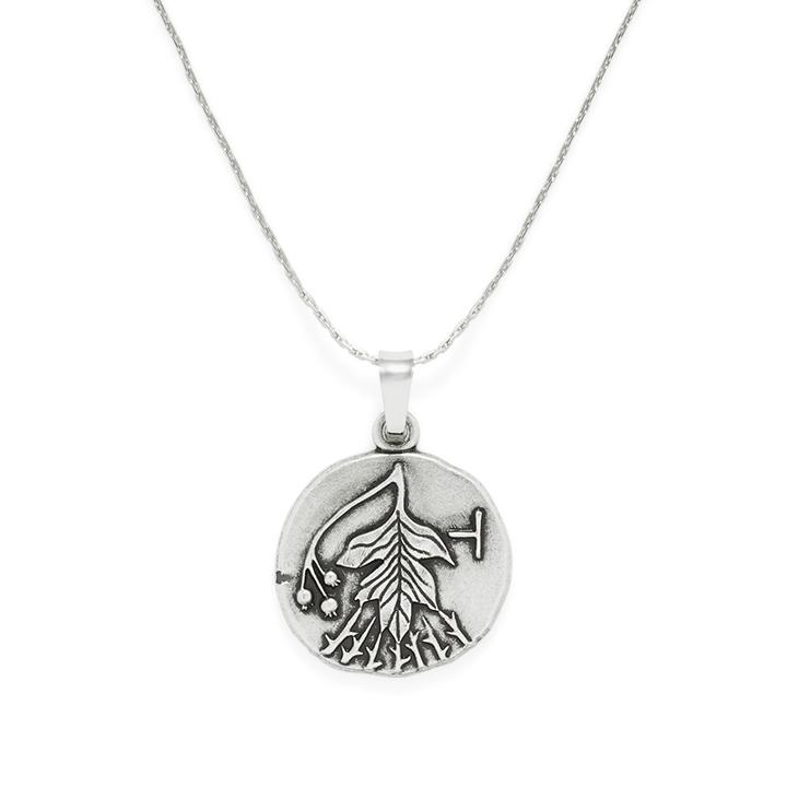 Alex And Ani Hawthorn Expandable Necklace, Rafaelian Silver Finish