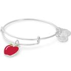 Alex And Ani Apple Charm Bangle Blessings In A Backpack, Shiny Silver Finish