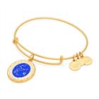 Alex And Ani Leo Celestial Wheel Charm Bangle