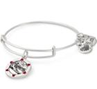 Alex And Ani Team Usa Snowboarding Charm Bangle, Rafaelian Silver Finish