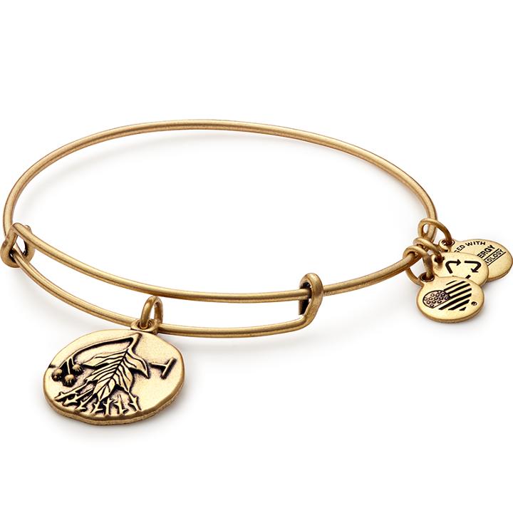 Alex And Ani Hawthorn Charm Bangle, Rafaelian Gold Finish