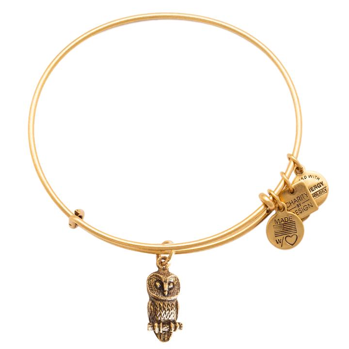 Alex And Ani Ode To The Owl Charm Bangle | Roger Williams Park Zoo, Rafaelian Gold Finish