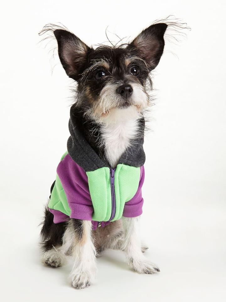 American Apparel Color Black Flex Fleece Dog Hoodie