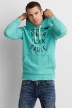 American Eagle Outfitters Ae Heathered Graphic Hoodie