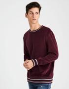 American Eagle Outfitters Ae Velour Pullover Sweatshirt