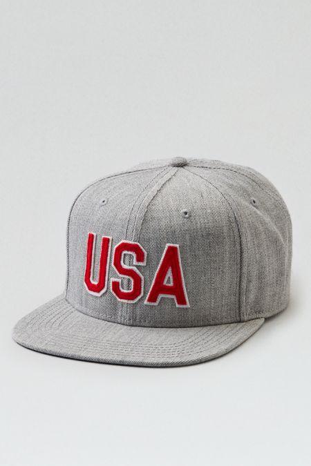 American Eagle Outfitters Ae Usa Snapback Hat