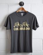 Tailgate Men's Colorado Buffaloes T-shirt