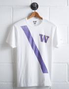 Tailgate Men's Washington Huskies Stripe T-shirt