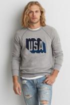 American Eagle Outfitters Ae Graphic Crew Sweatshirt