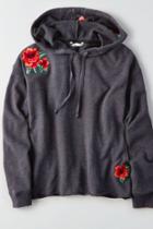 American Eagle Outfitters Ae Embroidered Crop Hoodie