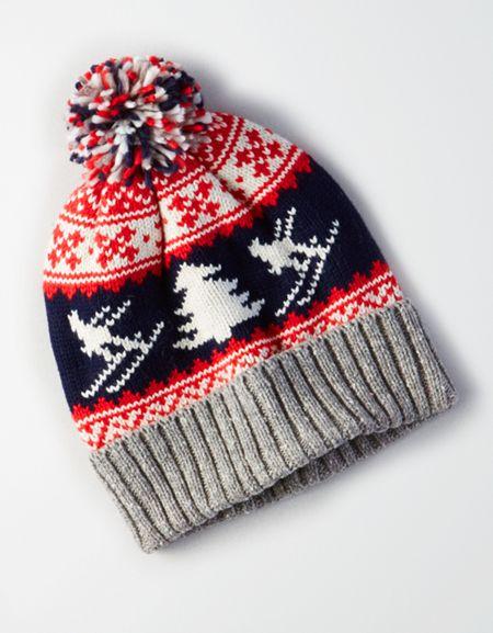 American Eagle Outfitters Ae Winter Pom Pom Beanie
