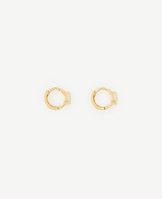 Ann Taylor Hinge Hoop Earrings