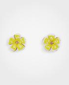 Ann Taylor Seed Bead Flower Stud Earrings