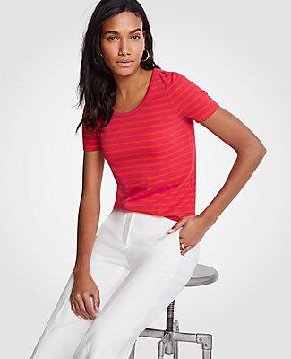 Ann Taylor Striped Pima Cotton Scoop Neck Tee