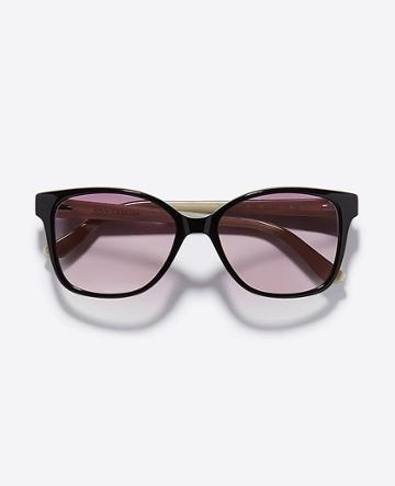 Ann Taylor Mezzanine Sunglasses, Black - One Size