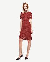 Ann Taylor Tulip Lace Dress