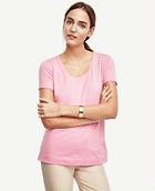 Ann Taylor Cotton Scoop Neck Tee