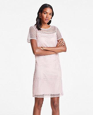 Ann Taylor Lace T-shirt Shift Dress