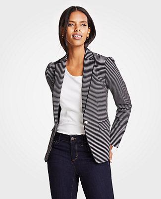 Ann Taylor Striped Pearlized Blazer