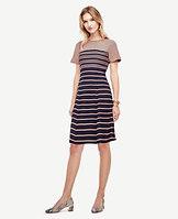 Ann Taylor Ombre Stripe Flare Dress