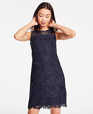 Ann Taylor Lace Shift Dress