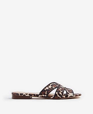Ann Taylor Virginia Leopard Print Flat Sandals