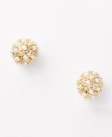 Ann Taylor Modern Pearlized Cabochon Stud Earrings