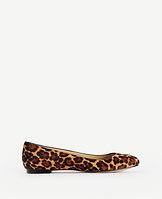 Ann Taylor Claya Leopard Print Haircalf Flats