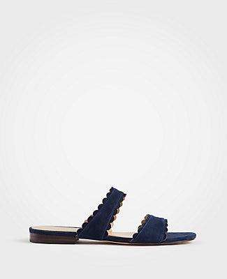 Ann Taylor Jean Scalloped Flat Suede Sandals