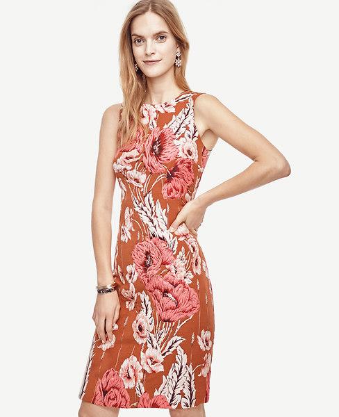 Ann Taylor Poppy Jacquard Sheath Dress