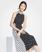 Ann Taylor Mixed Dot Flare Dress