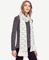 Ann Taylor Honeycomb Fringe Scarf